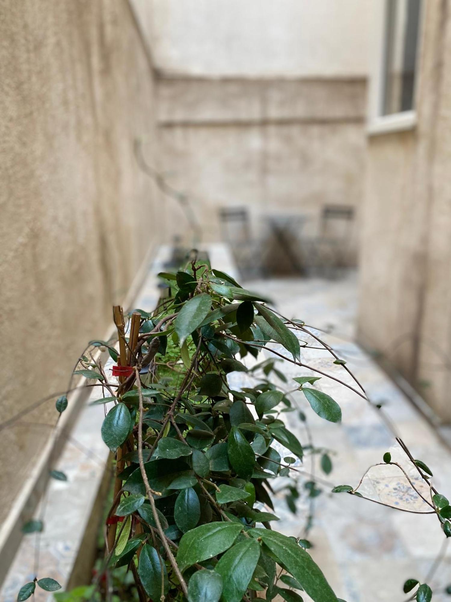 A Place 4 U Below Acropolis Athens Exterior photo